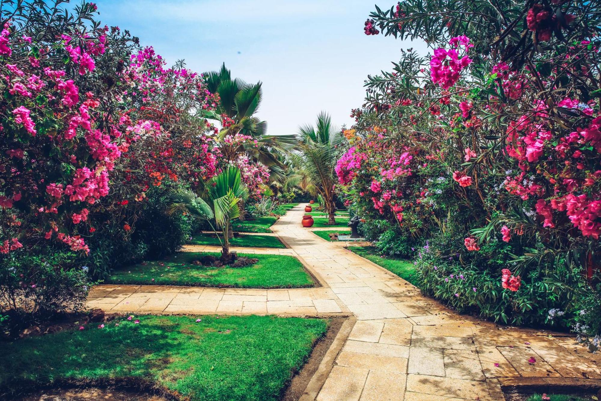 Royal Horizon Baobab Hotel Somone Kültér fotó